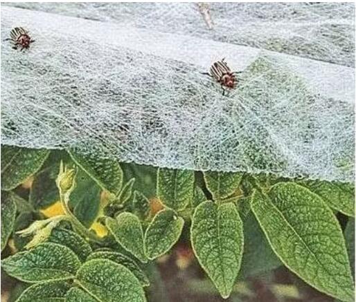 農(nóng)用無紡布需要抗老化處理嗎?